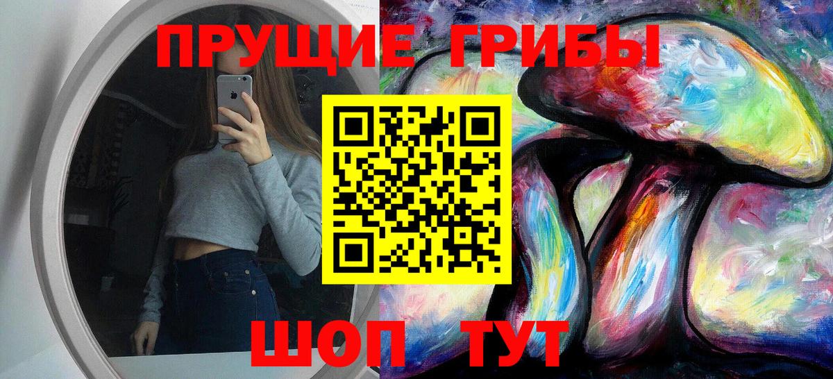 Галлюциногенные грибы Psilocybine cubensis  Вход с VPN  Октябрьский 